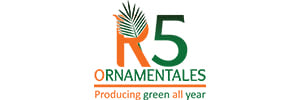 Ornamentales R5