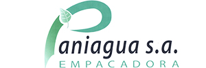 Paniagua S.A