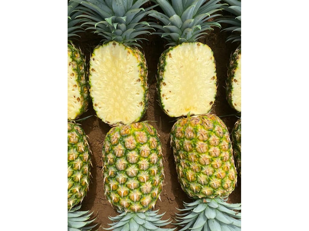 Piña Fresca
