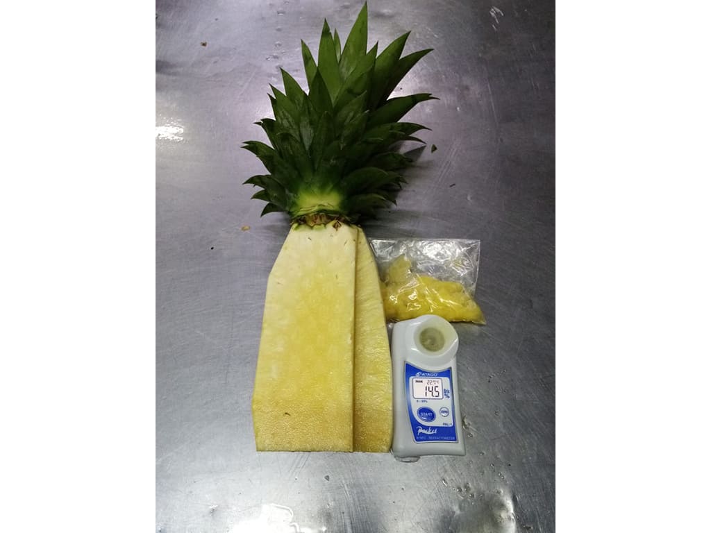 Piña Fresca