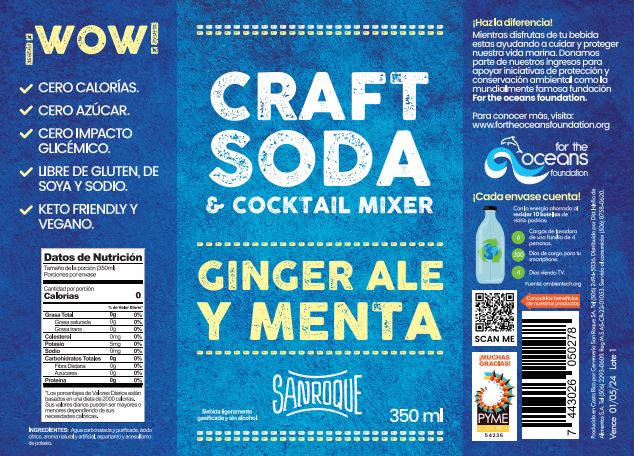 CRAFT SODA GINGER ALE Y MENTA