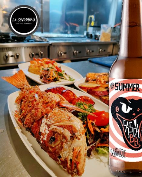 CERVEZA CASCABEL SUMMER ALE