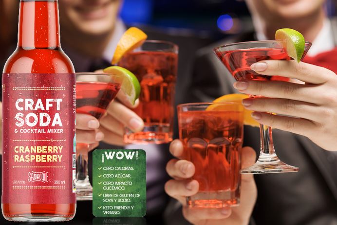 CRAFT SODA CRANBERRY & RASPBERRY