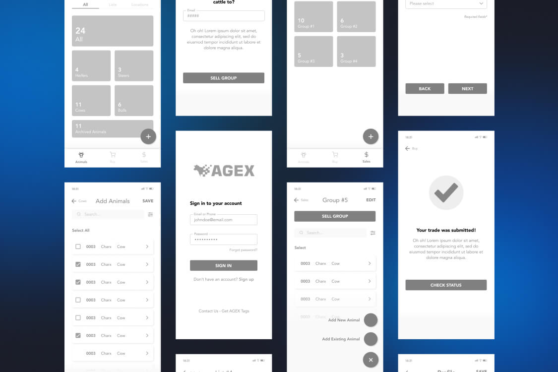 UX/UI Design
