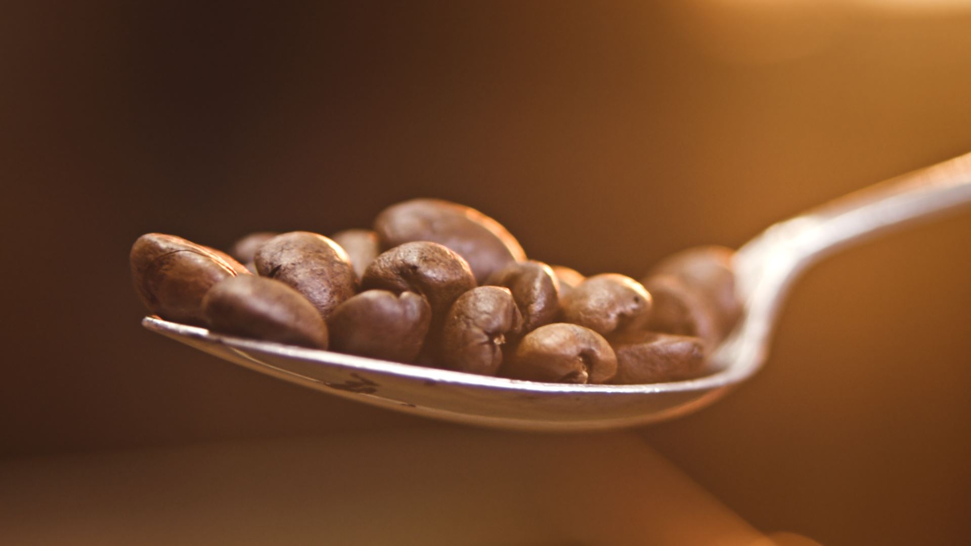 Green Coffee Beans – La Pastora Tarrazú SHB – Costa Rica