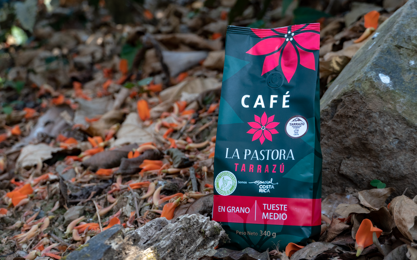Café La Pastora Tarrazú